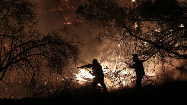 Firemen try to put out a forest fire in Makrimalli village on the island of Evia.