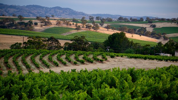 Seppeltsfield in the Barossa Valley.