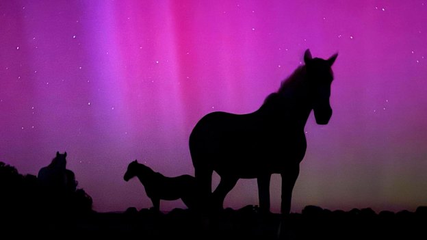 Bright lights, all right. Aurora australis seen in Victoria.