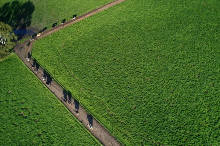 Farmland prices increased 131 per cent over the past decade.