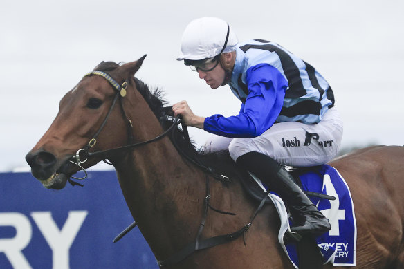 Gerald Ryan believes Steely gets his chance to convert good form into a win in the ATC Cup. 