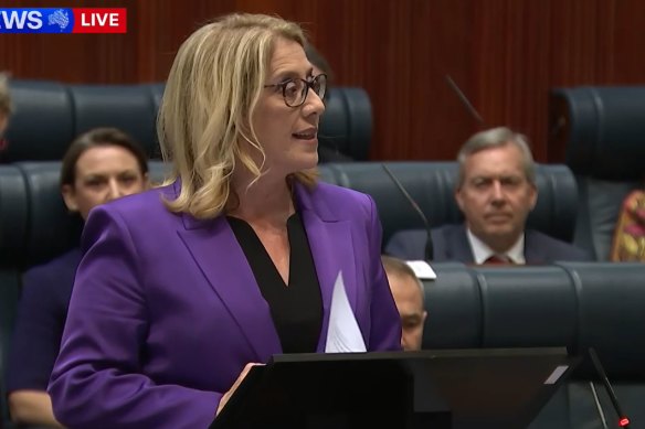 Treasurer Rita Saffioti gives her first budget speech.