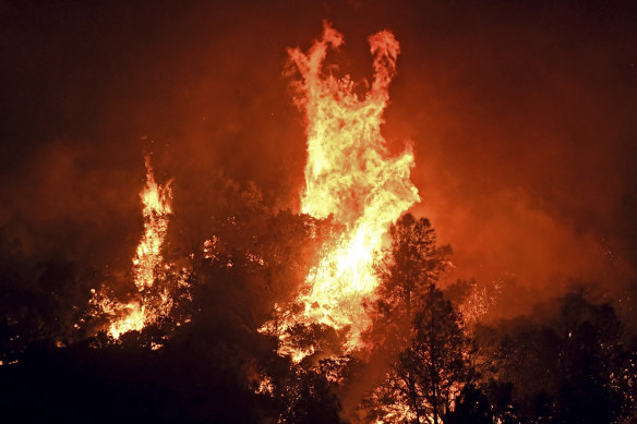 High winds cause tree canopies to flare up as a wildfire burns east of Midpines in Mariposa County, California on Friday, July 22.