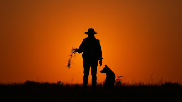 An official committee has raised concerns over carbon farming methods under the Emissions Reduction Fund.