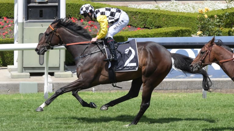 Flying high: Jockey Cristian Reith rides Sky Boy to victory in the Membership Handicap at Rosehill.