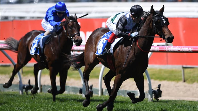 Champagne Boom on the way to victory on Caulfield Guineas day.