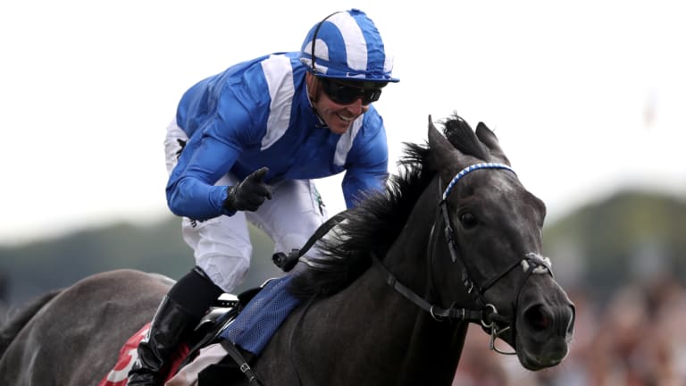 Salute: Jim Crowley wins the Ebor Handicap aboard Muntahaa in August. The pair will team up again in Tuesday's Melbourne Cup.