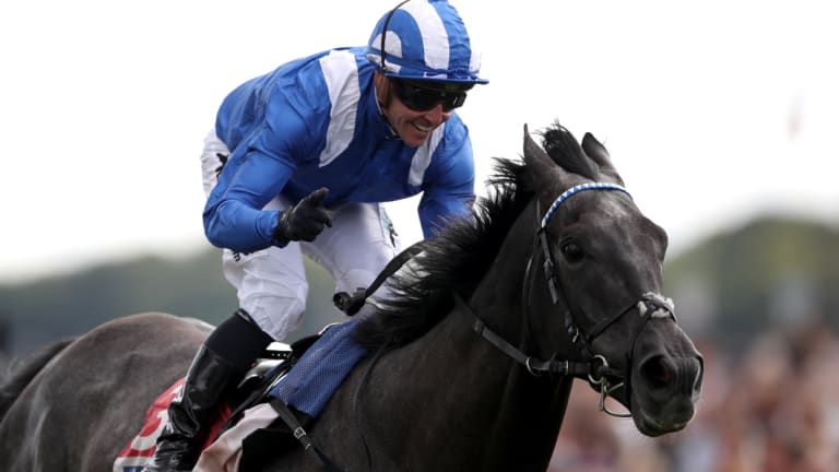 Salute: Jim Crowley wins the Ebor Handicap aboard Muntahaa in August. The pair will team up again in Tuesday's Melbourne Cup.