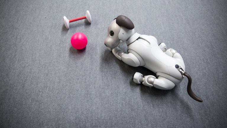 Aibo dog sales review