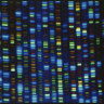 ‘The future has arrived’: Scientists complete human genome sequencing