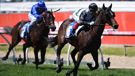 Five best bets for Melbourne Cup day