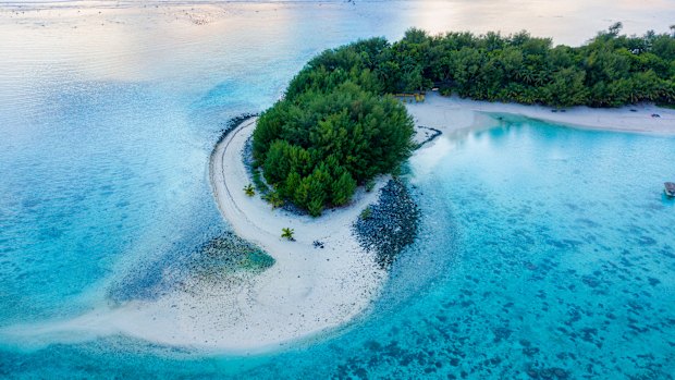 Of which Pacific Island group is Rarotonga the main island?