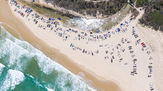 Eli Creek on K’gari is a victim of its own popularity.