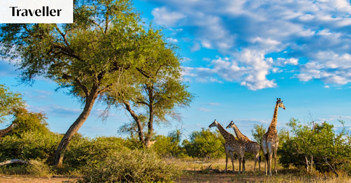 This world-famous national park is my cure for modern stresses