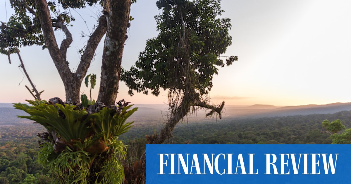 The world's hottest commodity market is the 'wild west' - Vimarsana News