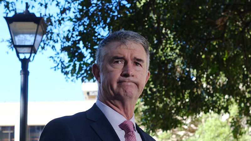 Olympic budget blowouts will be covered by private money, minister pledges
