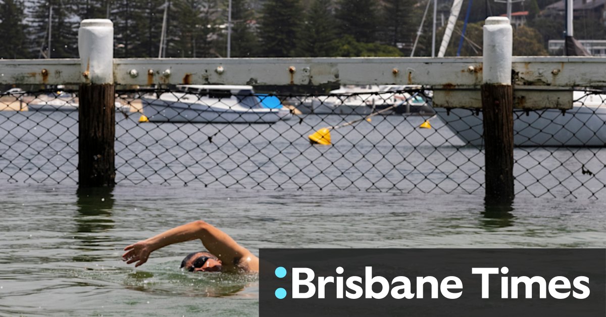 Swimmers can check estuary health before diving in with new grading system - Vimarsana News