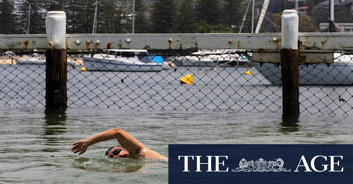 Swimmers can check estuary health before diving in with new grading system - Vimarsana News