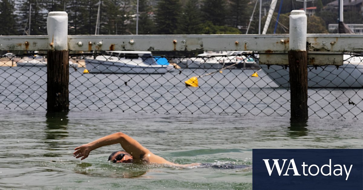 Swimmers can check estuary health before diving in with new grading system - Vimarsana News