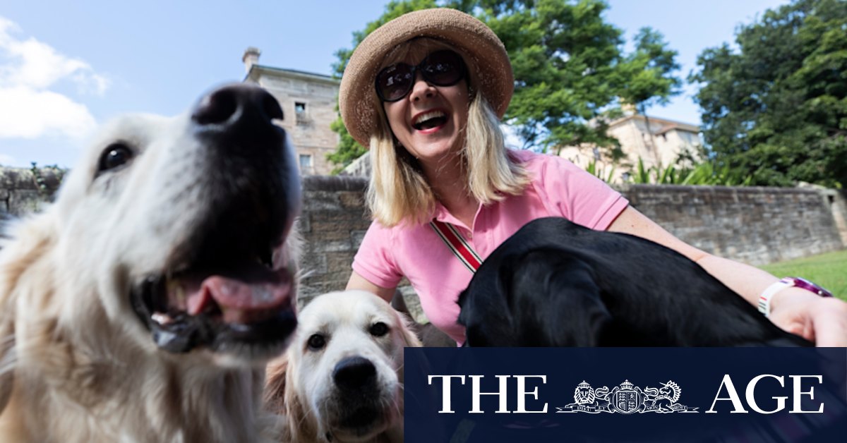 Callan Park's off-leash dogs on the wrong side of the paw - Vimarsana News