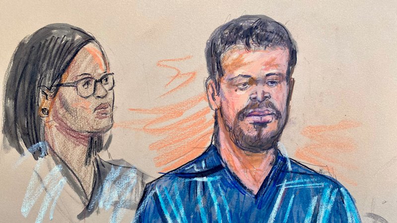 The Massive Failure of Protection and the Intent Behind the Trump Assassination Attempt