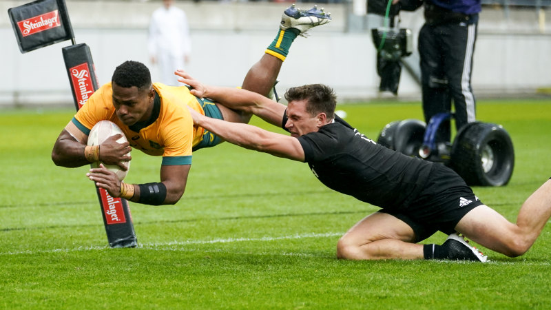 Rugby union hot sale
