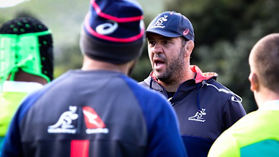 'Wobbly Waiheke Wallabies': Wallabies under siege