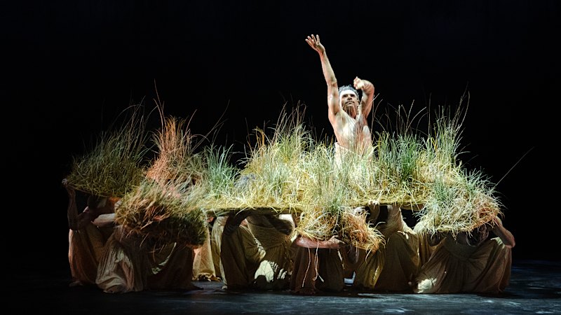 Bangarra meets ballet and something rare takes root (despite that dodgy red coat)