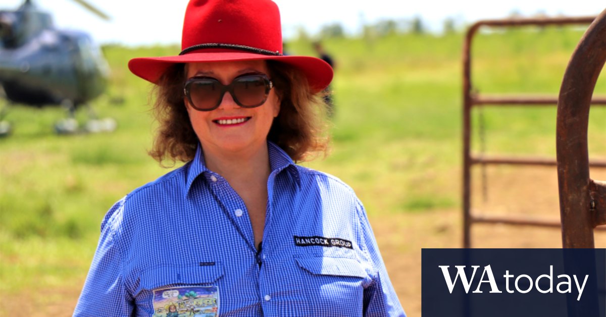 Billionaire Gina Rinehart to sell-off 1.8 million hectares of WA and NT cattle stations - Vimarsana News