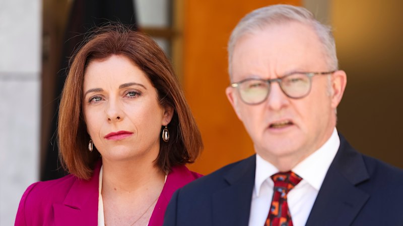 Albanese’s words from 2015 that reveal tension at the heart of Wells scandal