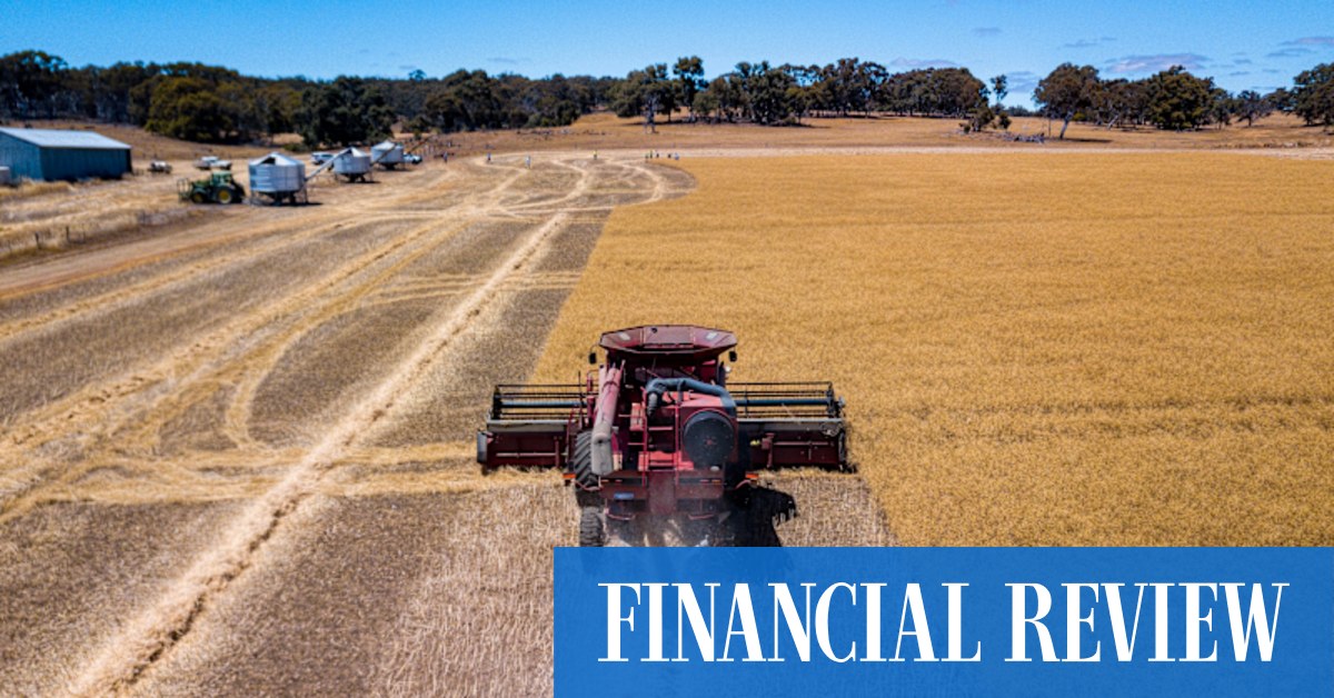 Farms yields hit 13 per cent on soaring commodity prices - Vimarsana News