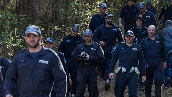 Police and SES search in bushland at Kendall as part of an investigation into the 2014 disappearance of William Tyrrell.