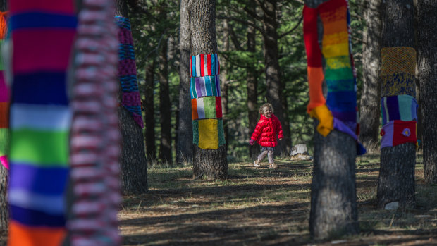 Warm up this winter with the Warm Trees knitting installation at the National Arboretum. 