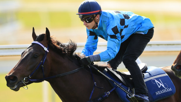 Ghostwriter breeze away to win a a Warwick Farm barrier trail lastmonth