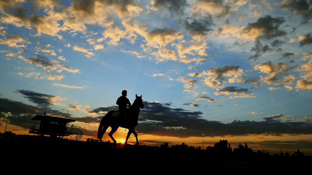 Dawn track work at Flemington.