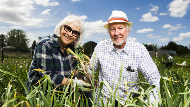 Bob Hefner and Peggy Daroesman with the fresh garlic.