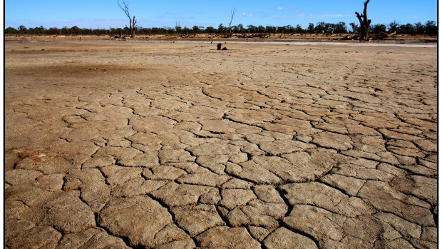 A majority of Australians now think we are seeing more frequent and severe droughts due to climate change