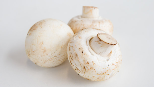 Scientists have used CRISPR/SDN-1 technique to stop white buttom mushrooms from browning.