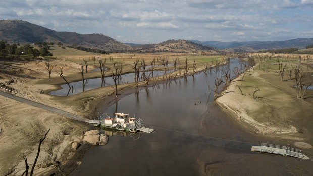 Dry run: Wymah Ferry services in the Riverina have been suspended due to the "shocking" lack of water in Lake Hume.