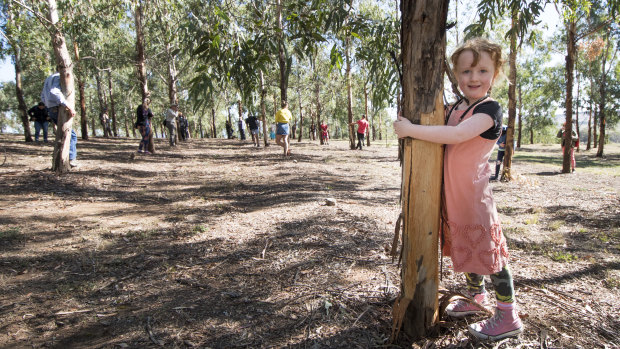 Maggie Lee, 5, of Bonython, with many other Canberrans help set the first record for the number of people simultaneously hugging trees at the National Arboretum. 