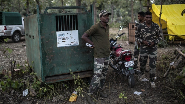Indian Forest Service Rangers near a cage used to transport tranquilized tigers.