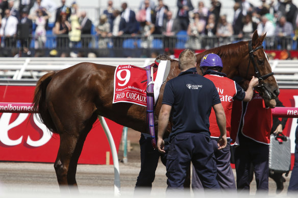 An injured Red Cadeaux at the 2015 Emirates Melbourne Cup. The horse died three weeks later.
