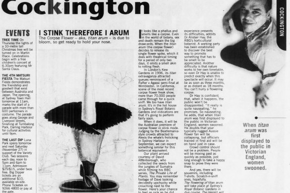 “I stink therefore I arum”:
The Cockington column on the corpse flower in the Herald in 1999. 