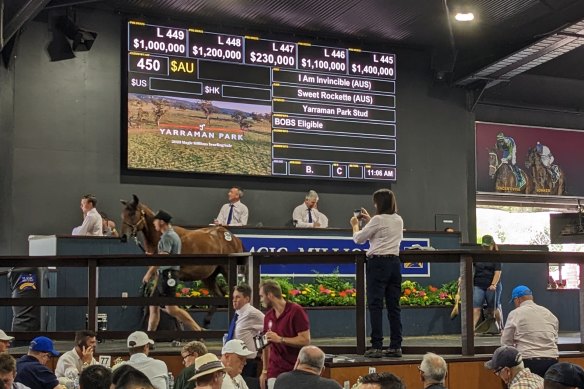 The Magic Millions board tells the story when an Extreme Choice stud comes out of the ring for $1 million to sell for a remarkable 10 minutes on Thursday