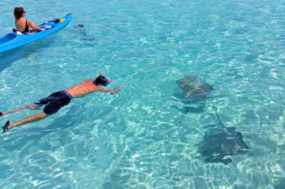 Swimming with stingrays.