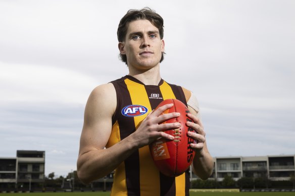 Emerging Hawthorn star Will Day.