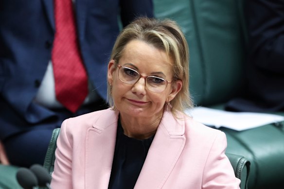 Opposition Leader Sussan Ley in question time this month.