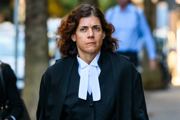 Barrister Sue Chrysanthou, SC, during a previous case.