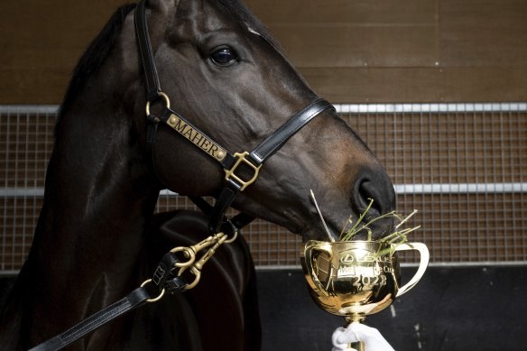 Gold Trip won the Melbourne Cup in 2022.