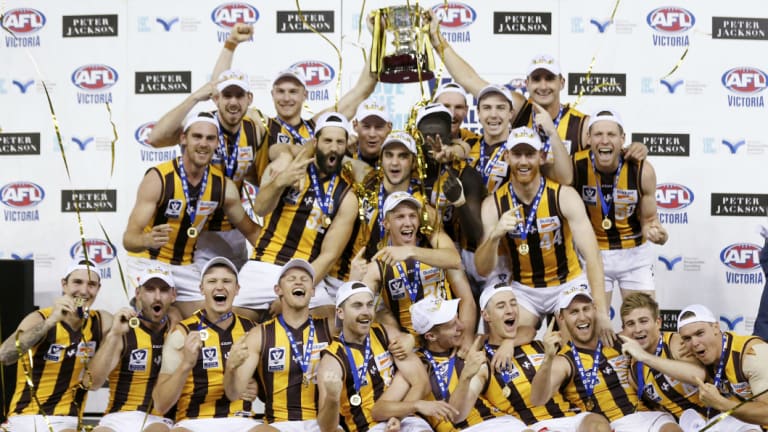 Grand moment: Box Hill players celebrate after winning the VFL decider against Casey Demons at Etihad Stadium on Sunday.